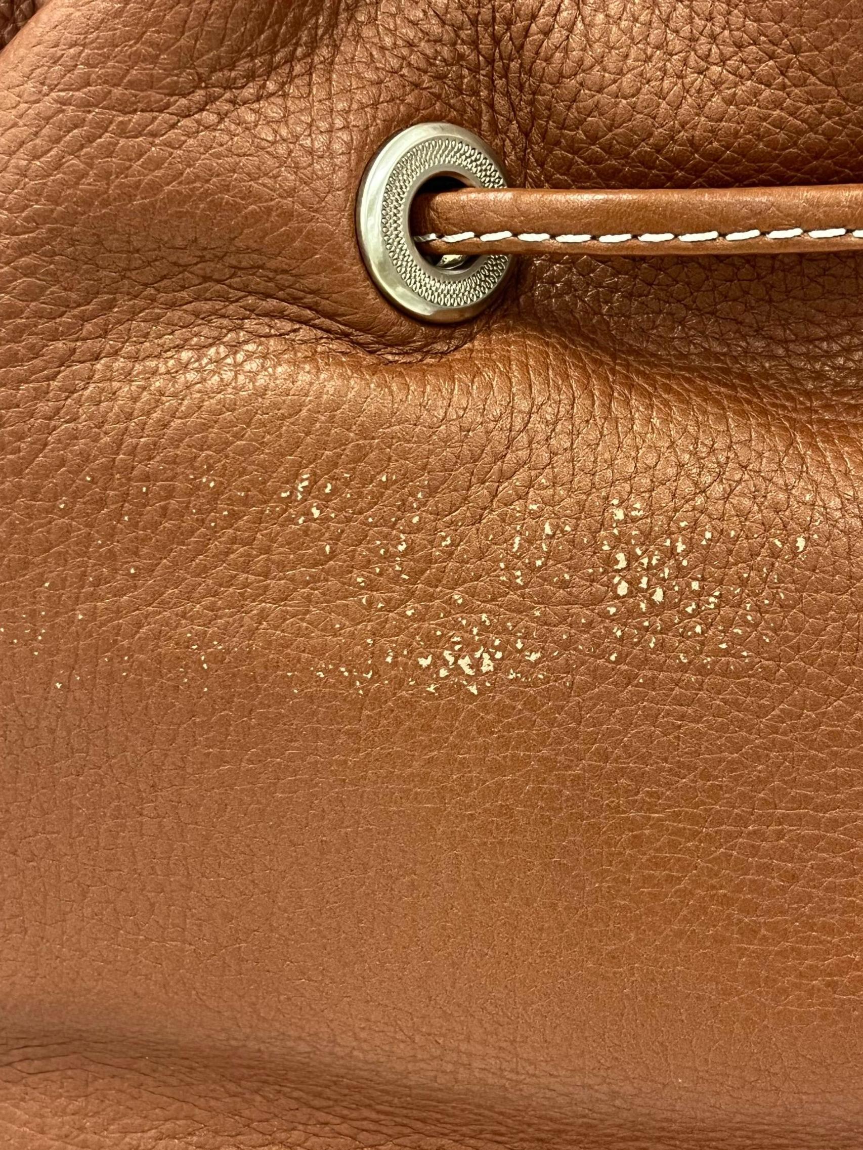Brown Medium Premier Flirt Leather Bucket Bag - Image 5